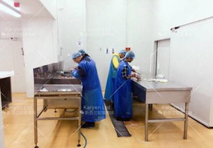 送福利 推薦廣大商家一家新西蘭花膠 海參 鹿產(chǎn)品生產(chǎn)工廠