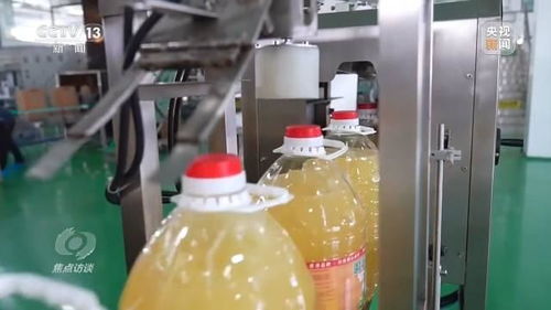 跨越黃茅海,走近超級工程 拓圈 背后的故事