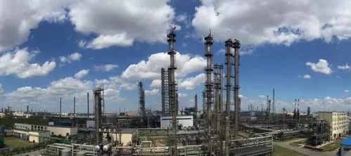 突發 今早山東壽光某化工廠突發大火 社會頻道