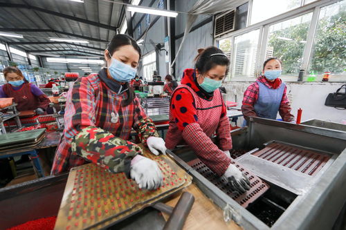 貴州大龍 扶貧工廠外貿產品復工復產忙