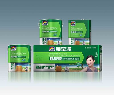 十大品牌涂料 寶瑩油漆廠家直銷 涂料招商-【效果圖,產品圖,型號圖,工程圖】-中國
